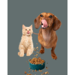 Dietas veterinarias naturales