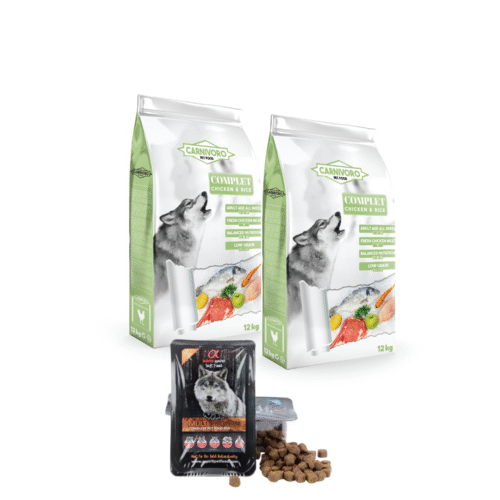 Carnívoro Complet Pollo Arroz 2x12kg ¡PACK AHORRO!