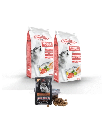 “Dos sacos de pienso Carnívoro Cordero para perros, alimento natural con carne de cordero”