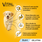 PEDIGREE Comida húmeda para Perros Junior, Pollo y Buey con Arroz en Gelatina, Multipack (13 Packs x 4 bolsitas x 100g) - Imagen 3