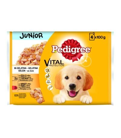 Pedigree comida húmeda junior para perros pollo y buey con arroz en gelatina multipack 4x100 g