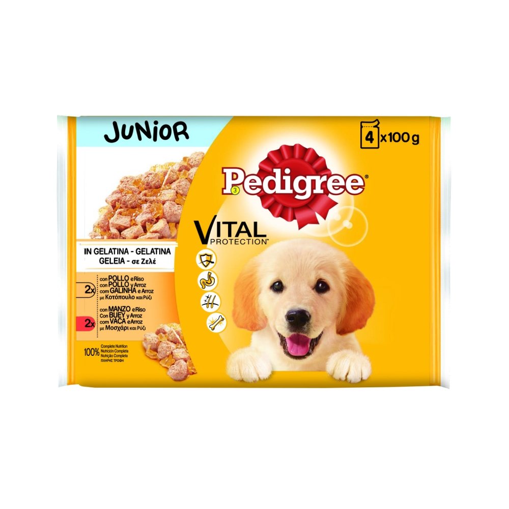 Pedigree comida húmeda junior para perros pollo y buey con arroz en gelatina multipack 4x100 g